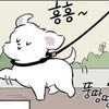 고구매