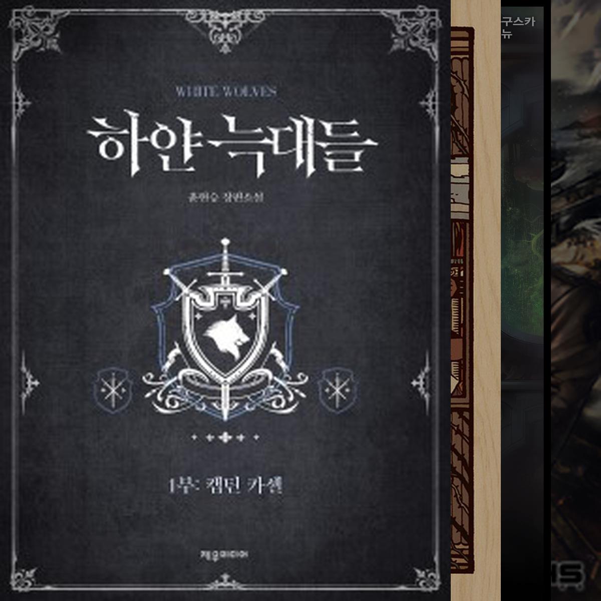 2회이상 정주행한 소설